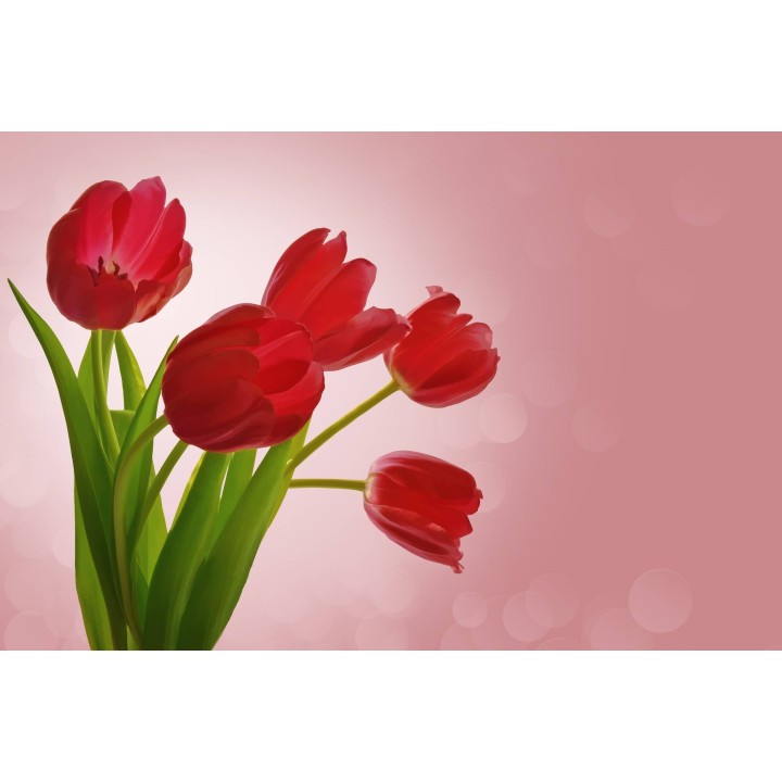 Картина на Червени лалета - k84457 -PAGAGAL